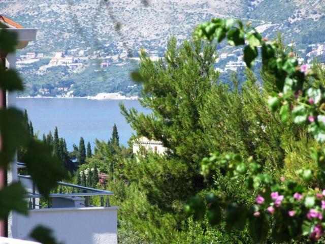 Villa Kipre 2 Cavtat Εξωτερικό φωτογραφία